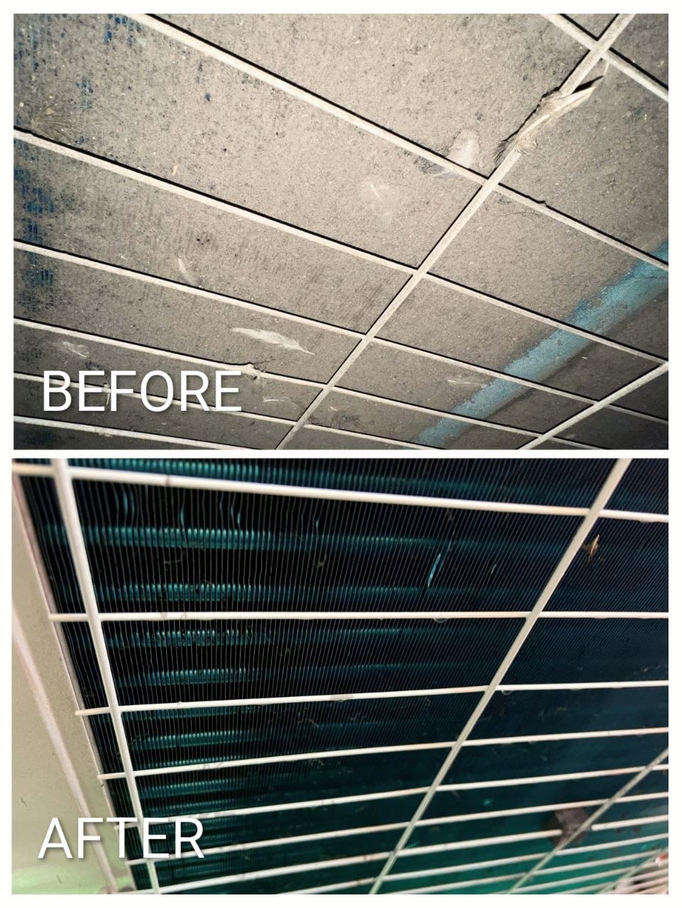 Refrigeration Condenser Cleaning — Heavy dirt buildup removed — cooling performance restored.