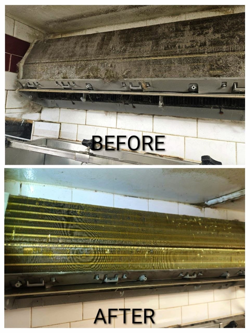 Dog Grooming Salon – Wall-Mounted Unit Cleaning — Before & After Evaporator Coil Cleaning