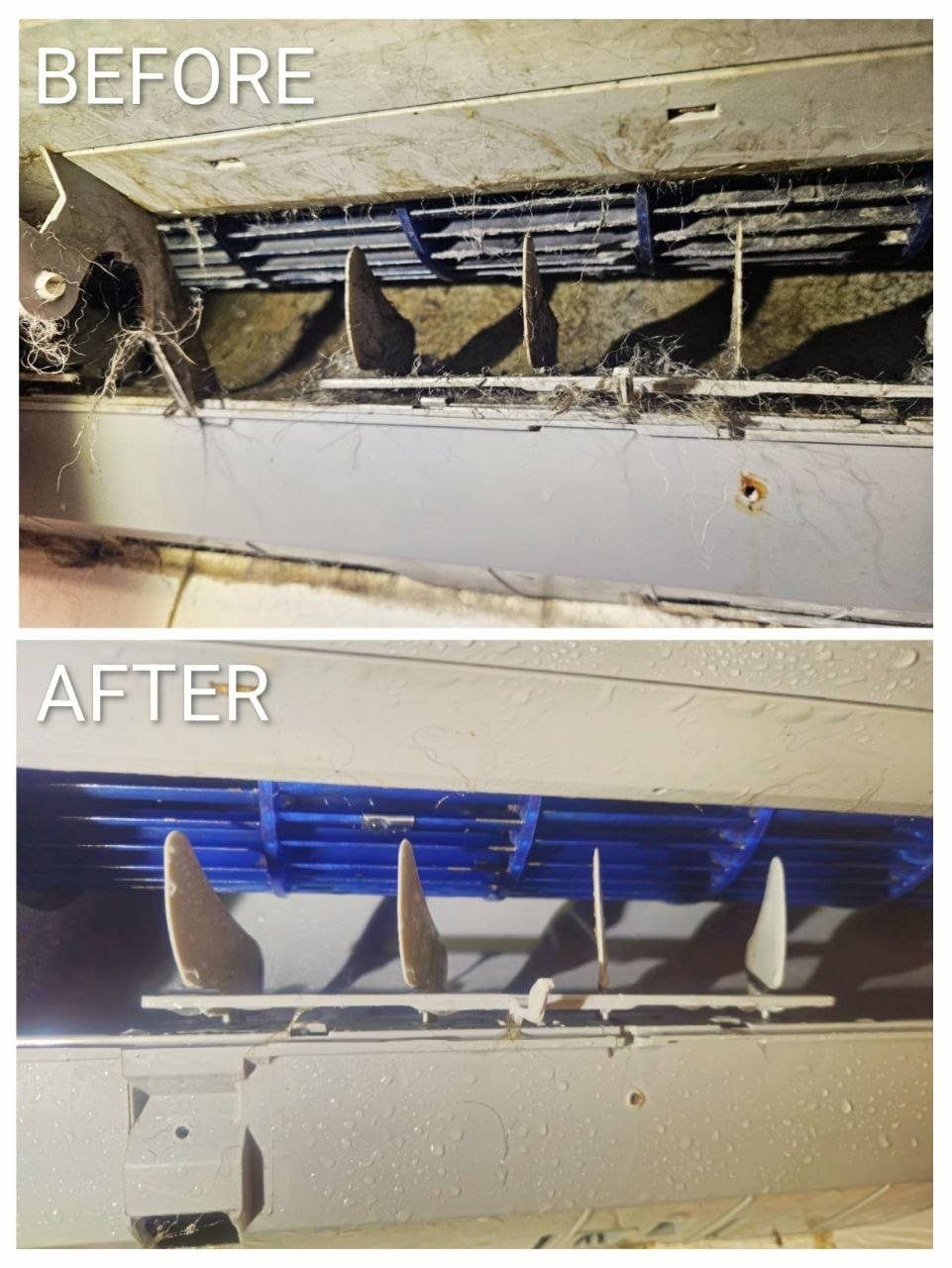 Dog Grooming Salon – Indoor Unit Cleaning — Before & After Fan Section Cleaning